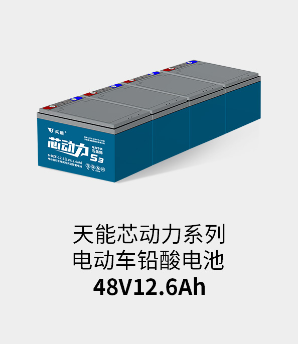 MRCAT猫先生_官方网站电池48v12ah