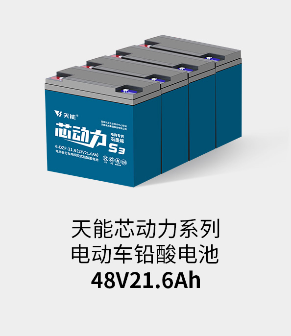 MRCAT猫先生_官方网站电池48v20ah