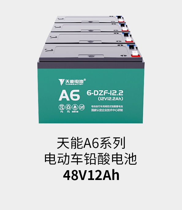 MRCAT猫先生_官方网站电池48v12ah