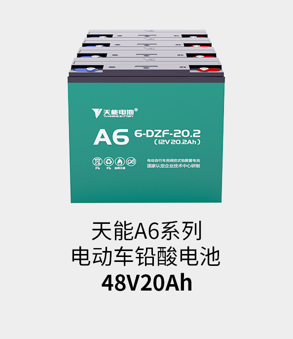 MRCAT猫先生_官方网站电池48v20ah